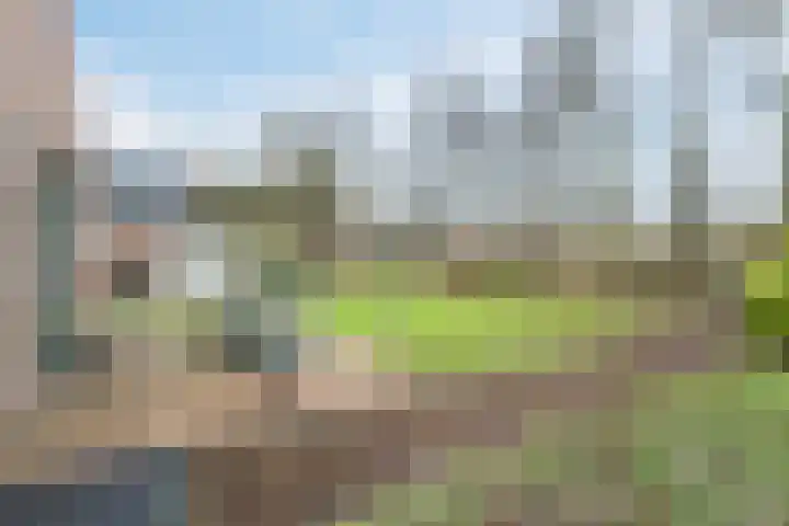 Groene Heuvels 237 Ewijk thumbnail 13