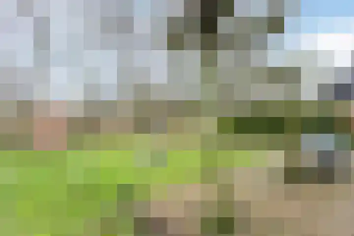 Groene Heuvels 237 Ewijk thumbnail 14