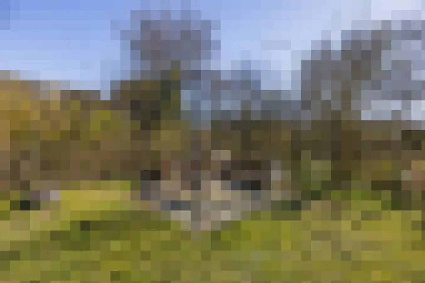 Groene Heuvels 249 Ewijk thumbnail 5