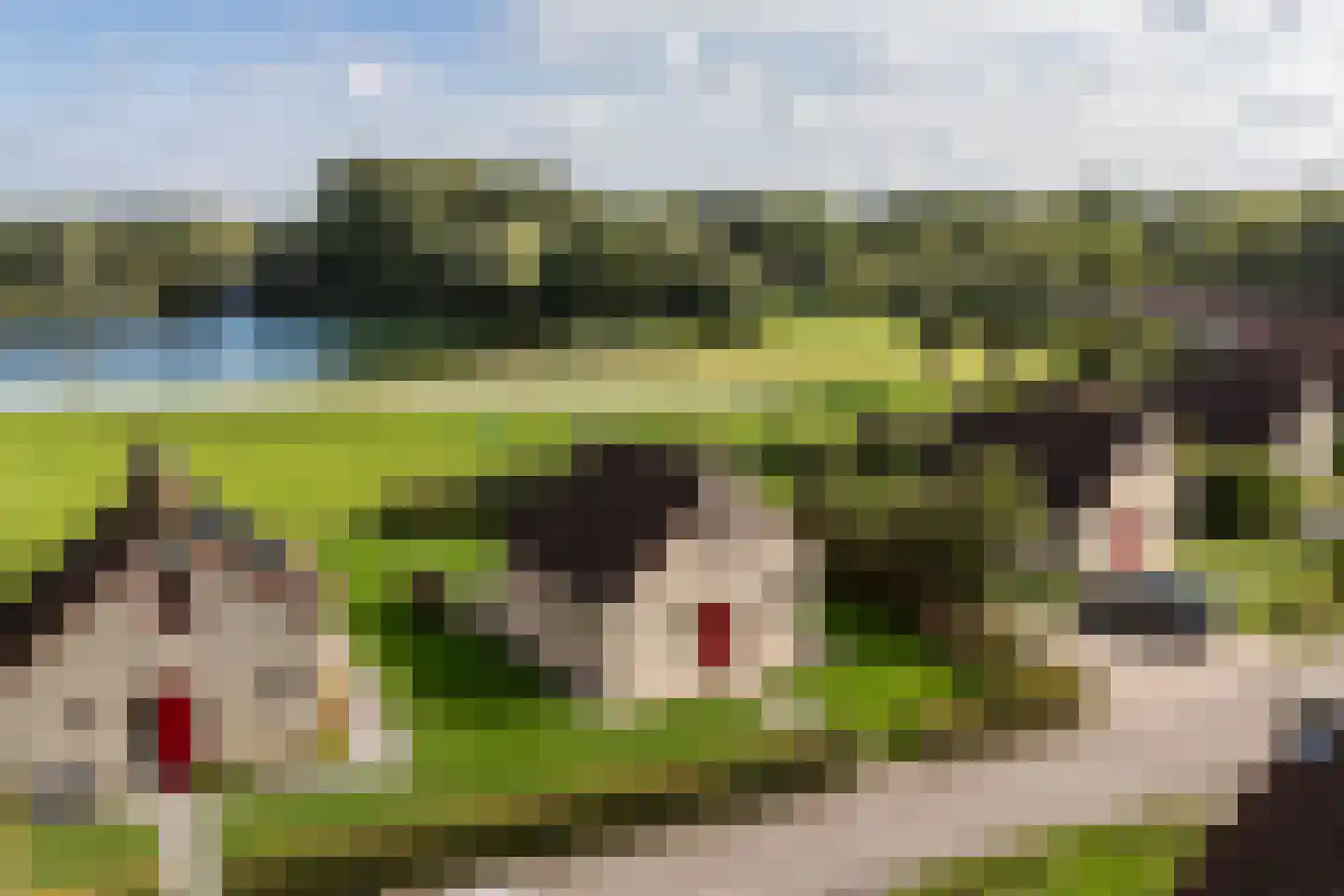 Groene Heuvels 25 Ewijk thumbnail 41