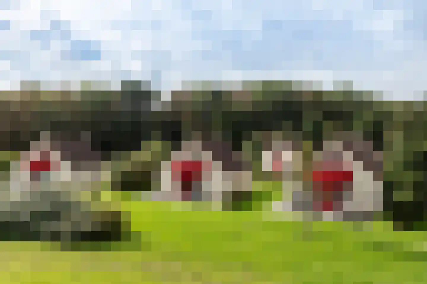 Groene Heuvels 25 Ewijk thumbnail 42