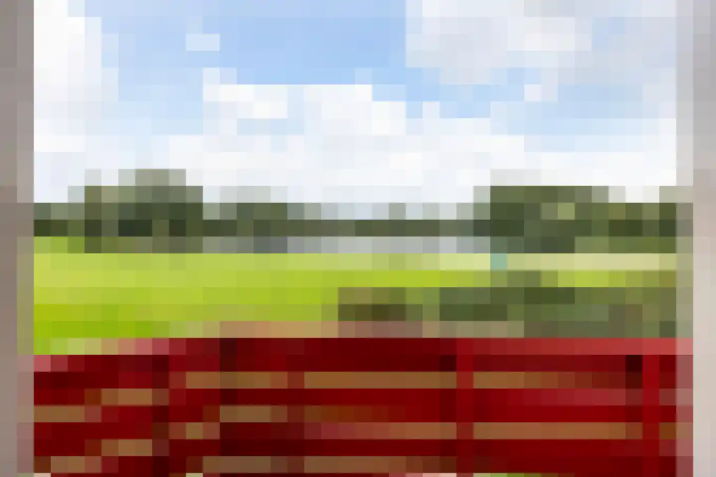 Groene Heuvels 25 Ewijk thumbnail 45