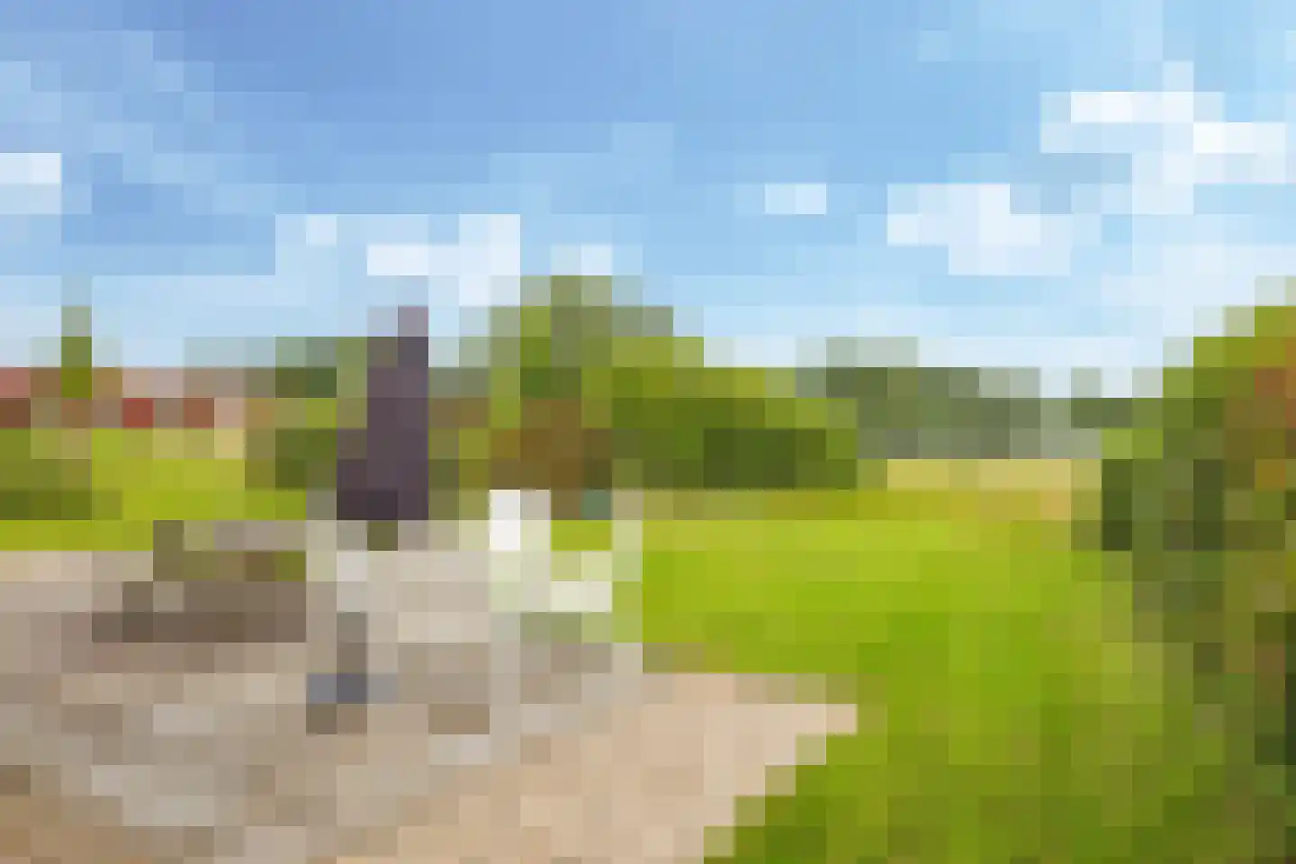 Groene Heuvels 27 Ewijk thumbnail 49