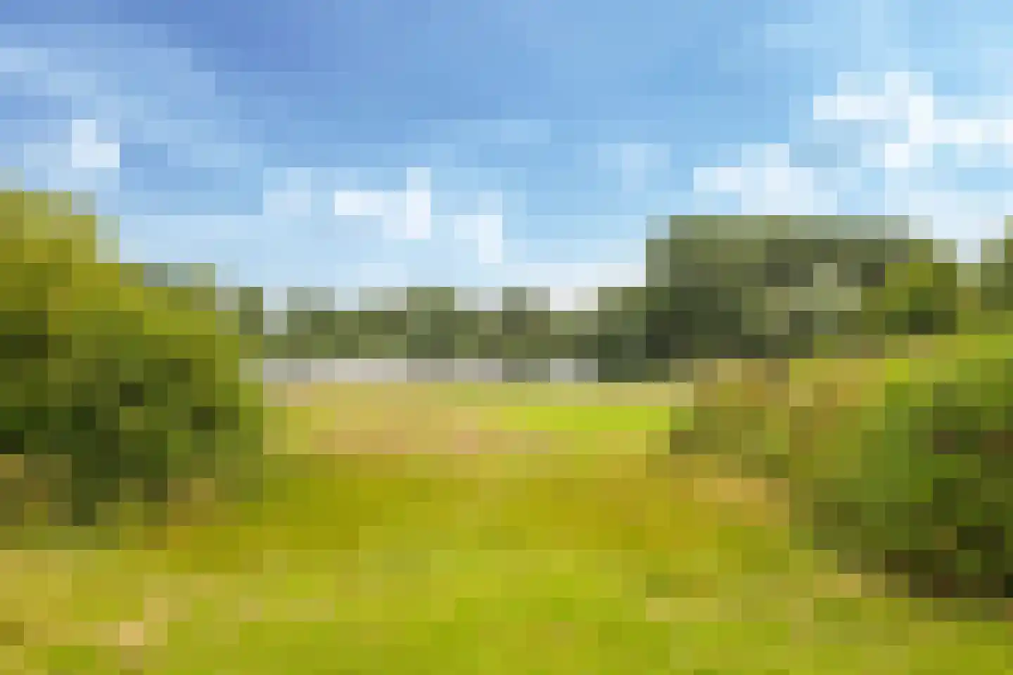 Groene Heuvels 27 Ewijk thumbnail 50
