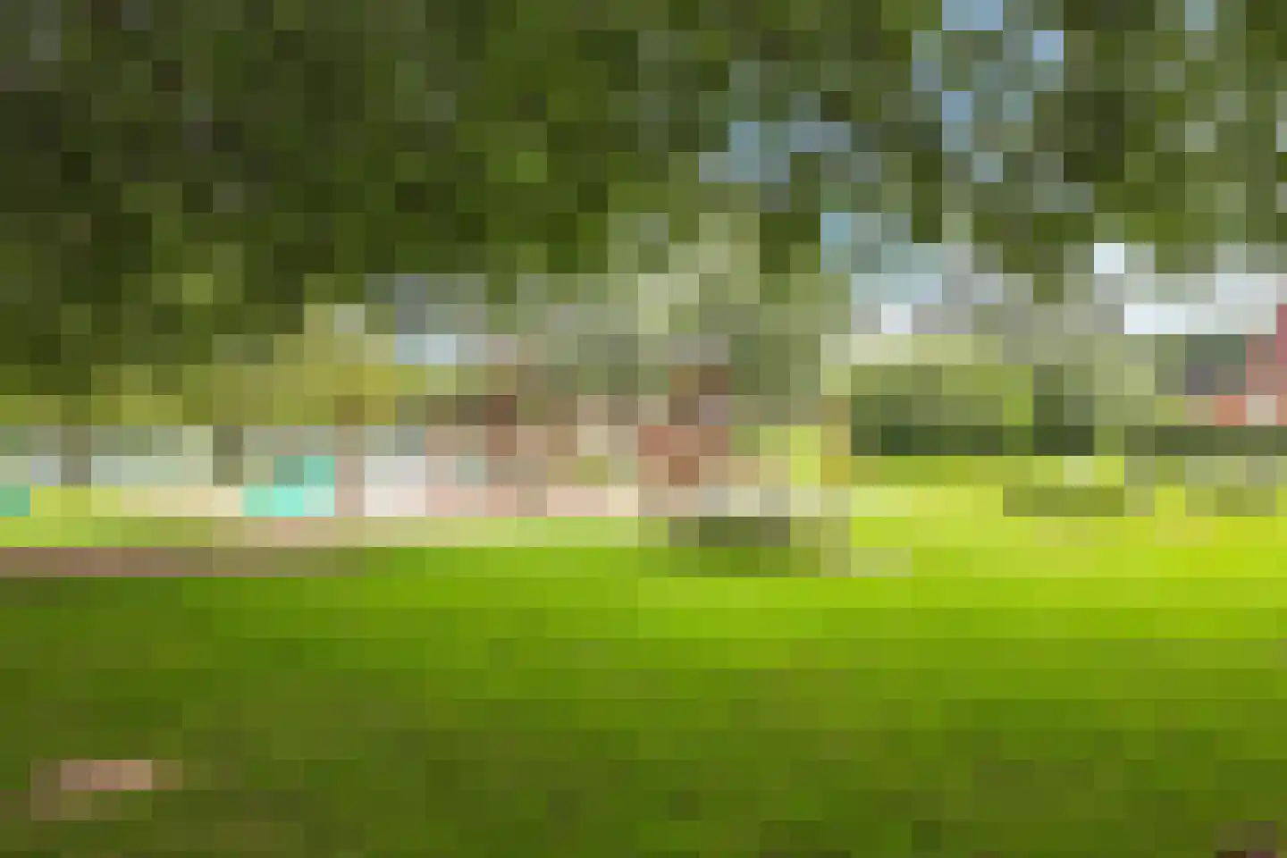 Groene Heuvels 27 Ewijk thumbnail 54