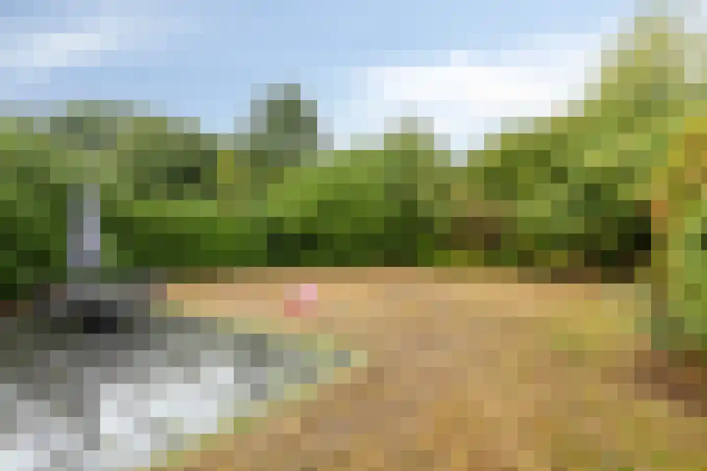Groene Heuvels 277 Ewijk thumbnail 25