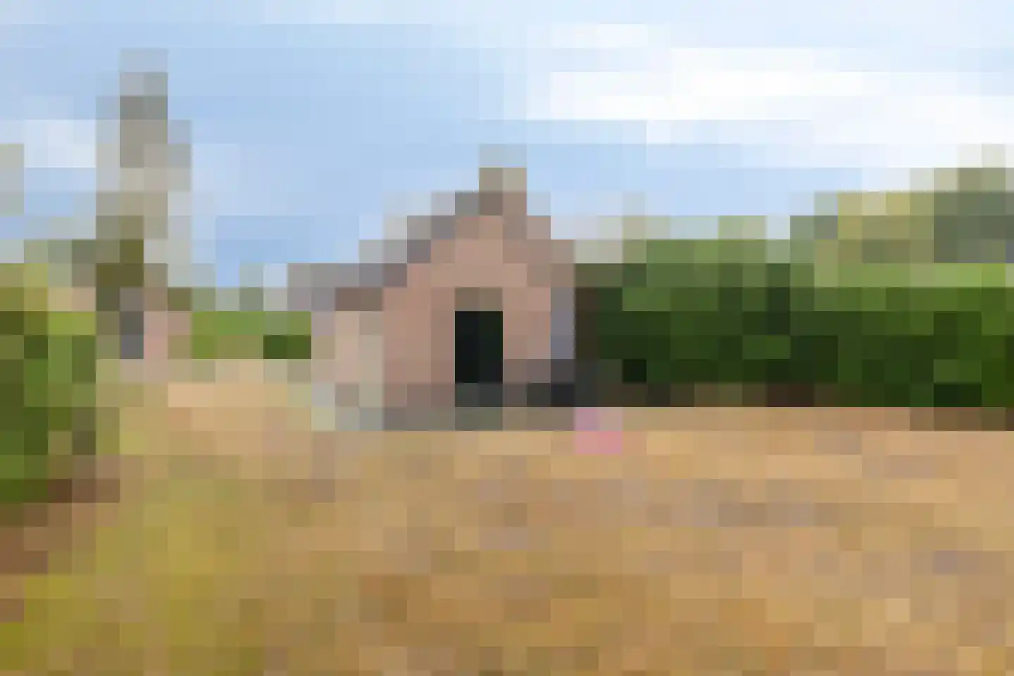 Groene Heuvels 277 Ewijk thumbnail 26