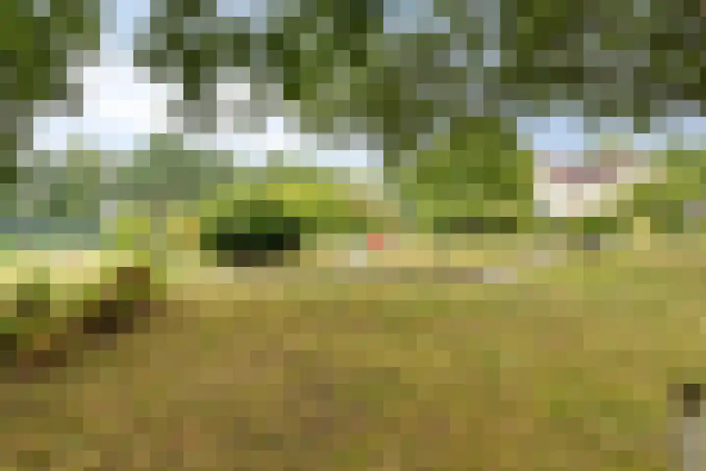 Groene Heuvels 277 Ewijk thumbnail 28