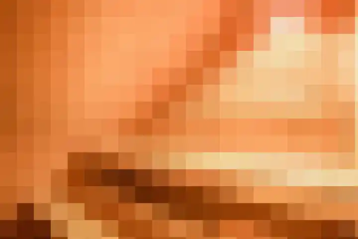 Groene Heuvels 5 Ewijk thumbnail 24