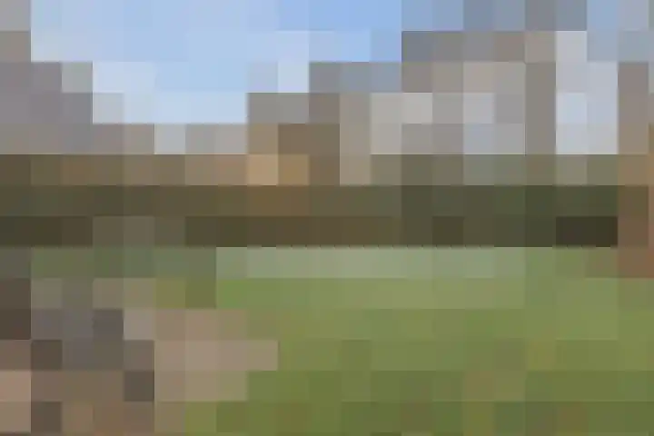 Groene Heuvels 5 Ewijk thumbnail 4