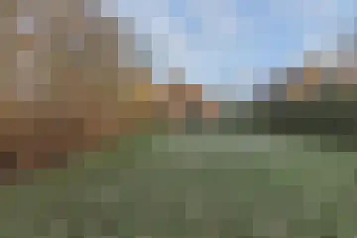 Groene Heuvels 5 Ewijk thumbnail 5