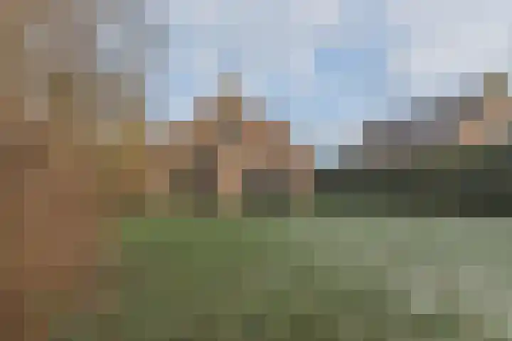 Groene Heuvels 5 Ewijk thumbnail 6
