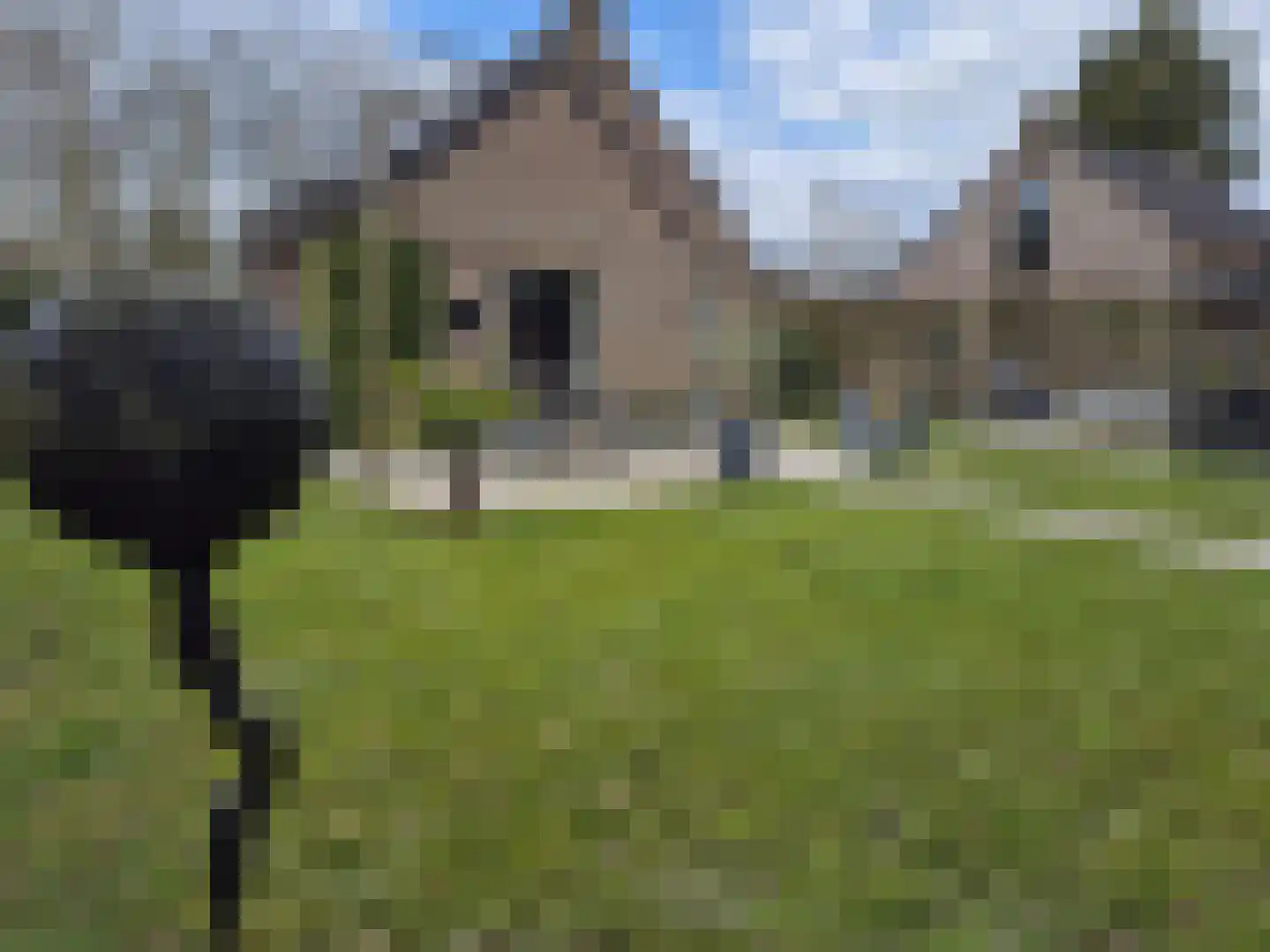 Groene Heuvels 68 Ewijk thumbnail 4