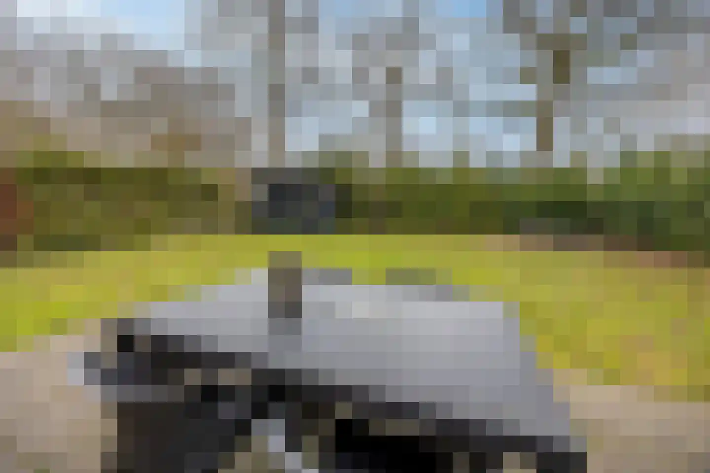 Groene Heuvels 69 Ewijk thumbnail 32