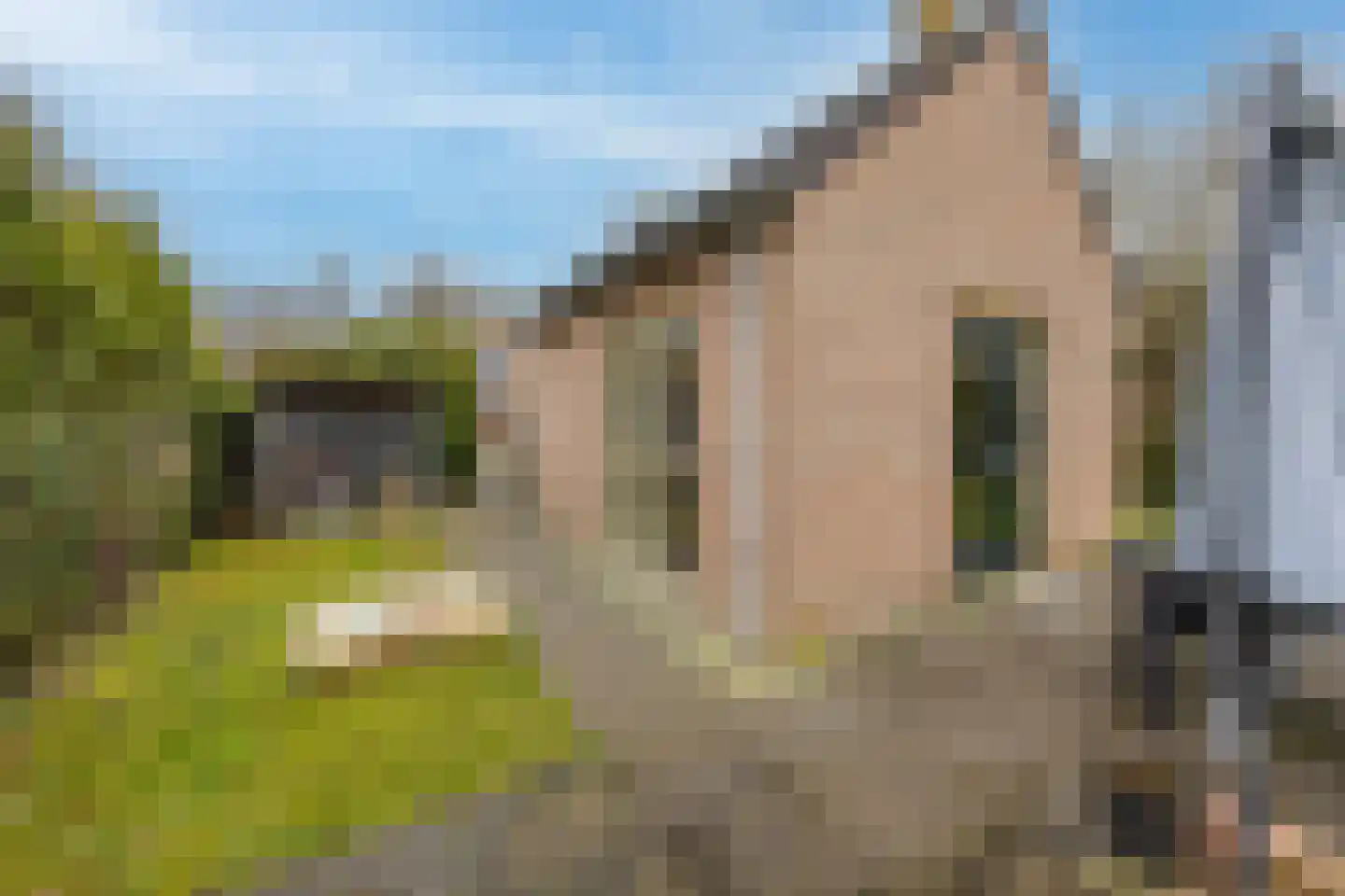 Groene Heuvels 69 Ewijk thumbnail 37