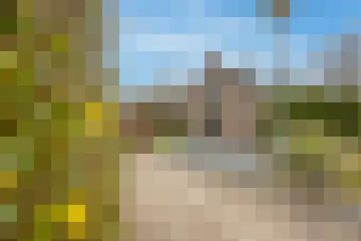 Groene Heuvels 69 Ewijk thumbnail 40