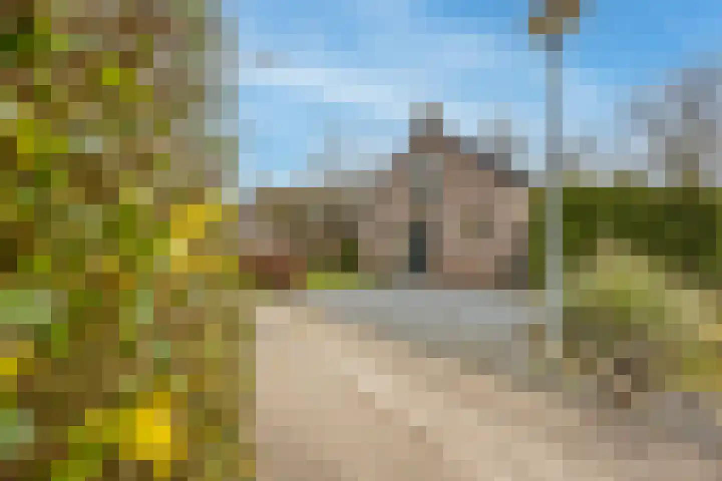 Groene Heuvels 69 Ewijk thumbnail 40
