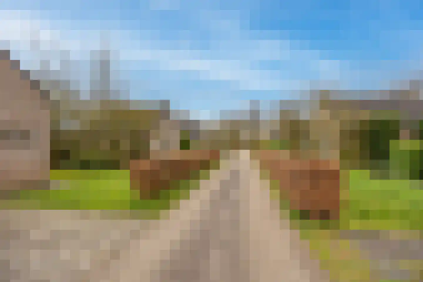 Groene Heuvels 69 Ewijk thumbnail 41