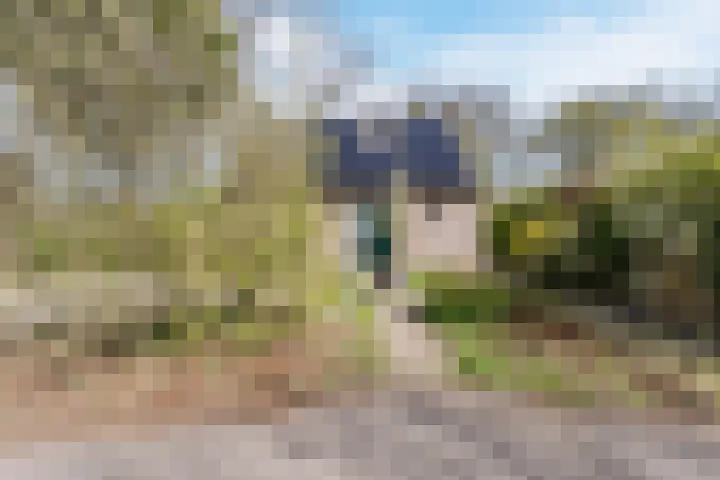 Groene Heuvels 70 Ewijk thumbnail 43