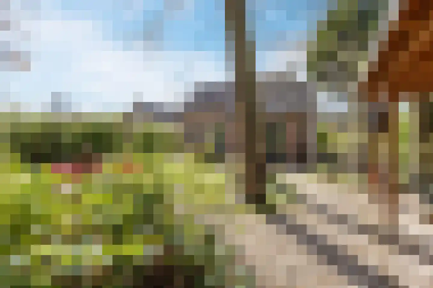 Groene Heuvels 70 Ewijk thumbnail 6
