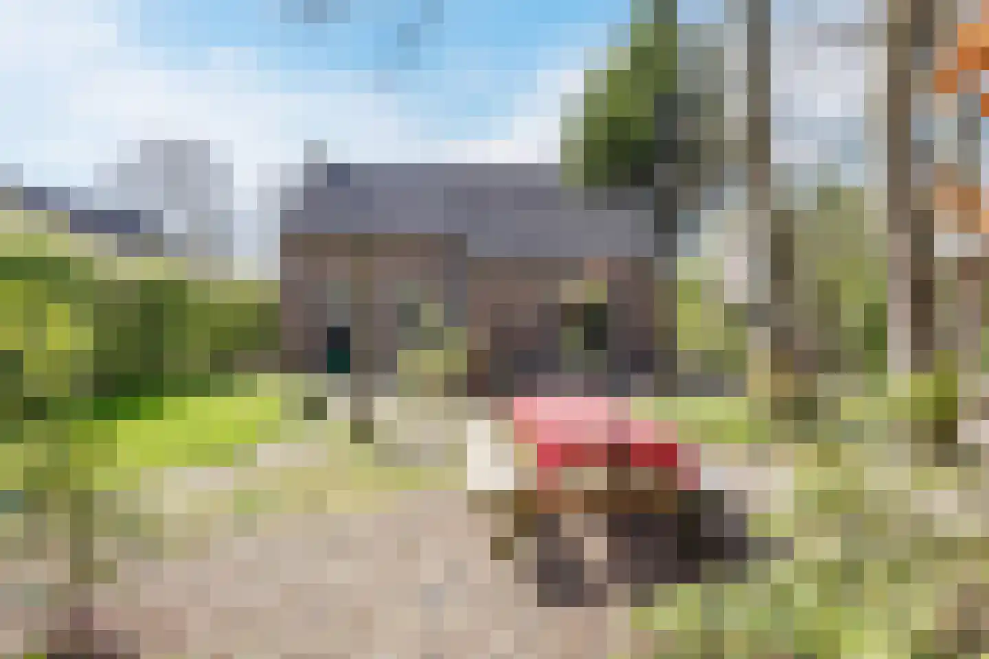 Groene Heuvels 70 Ewijk thumbnail 8