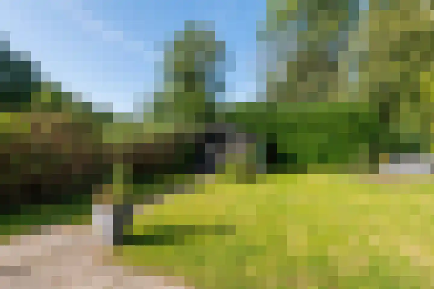 Groene Heuvels 78 Ewijk thumbnail 5