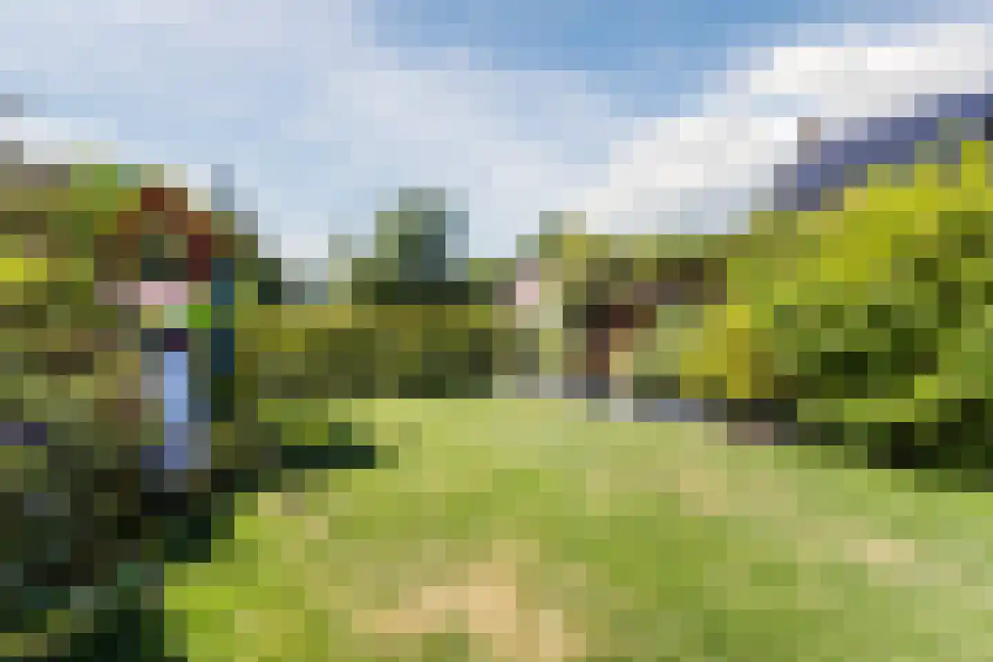 Groene Heuvels 96 Ewijk thumbnail 16