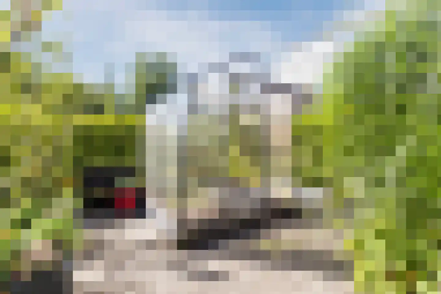 Groene Heuvels 96 Ewijk thumbnail 20