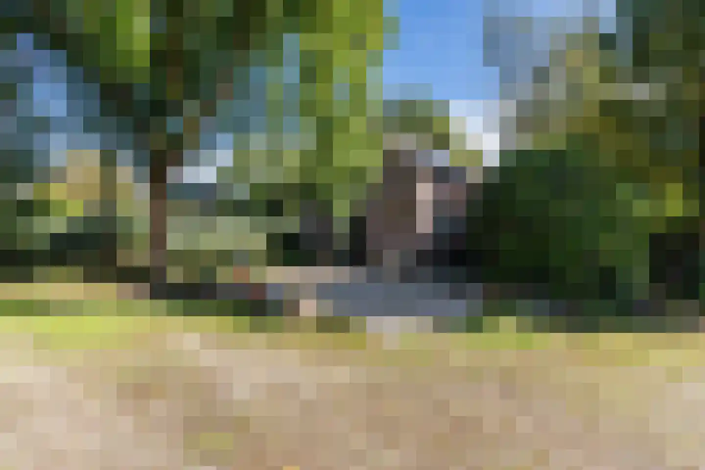 Groene Heuvels 98 Ewijk thumbnail 43