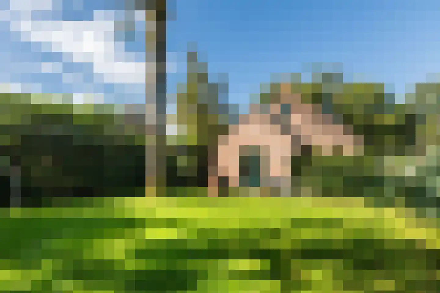 Groene Heuvels 98 Ewijk thumbnail 7