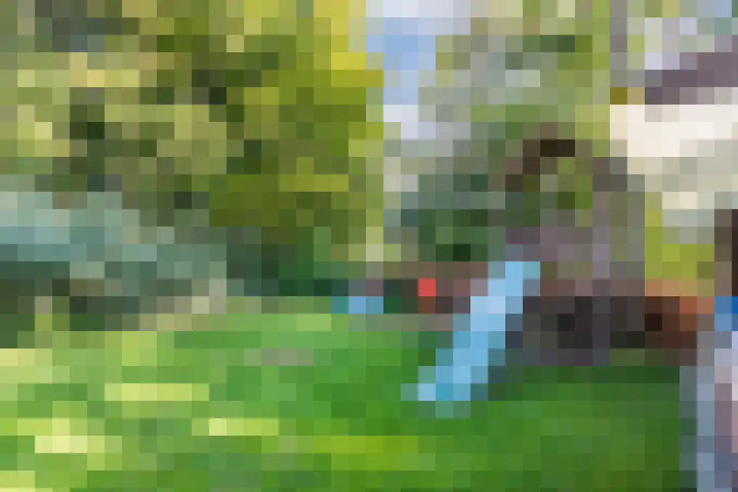Groene Heuvels 98 Ewijk thumbnail 9