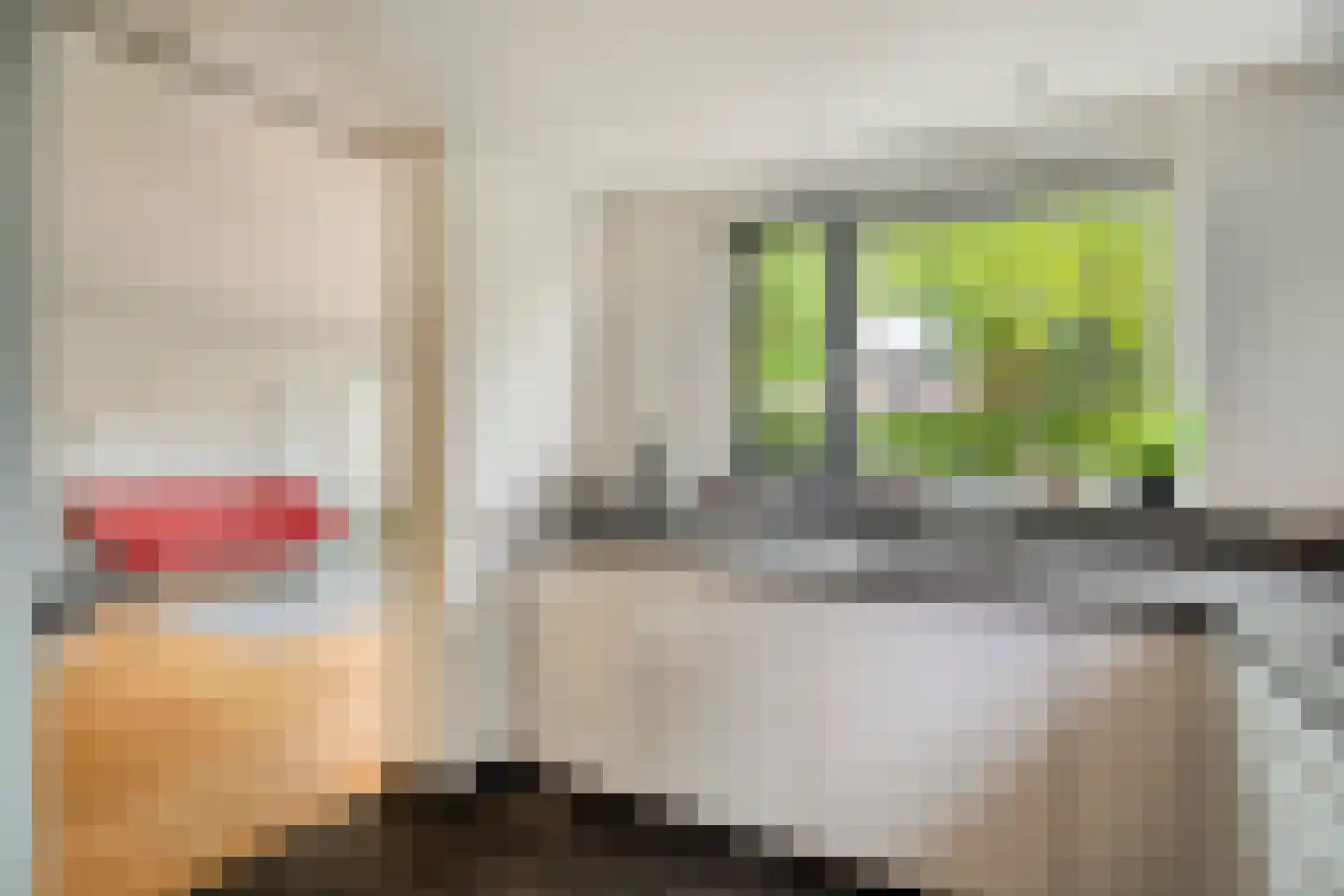 Groene Hil 34 Breda thumbnail 15
