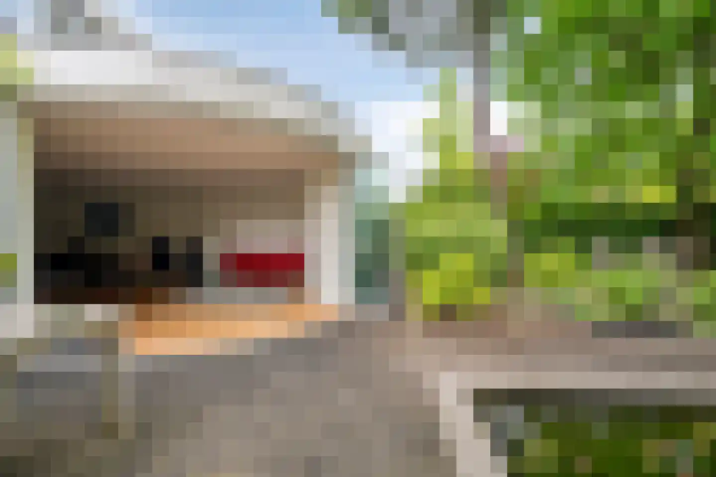Groene Hil 34 Breda thumbnail 30