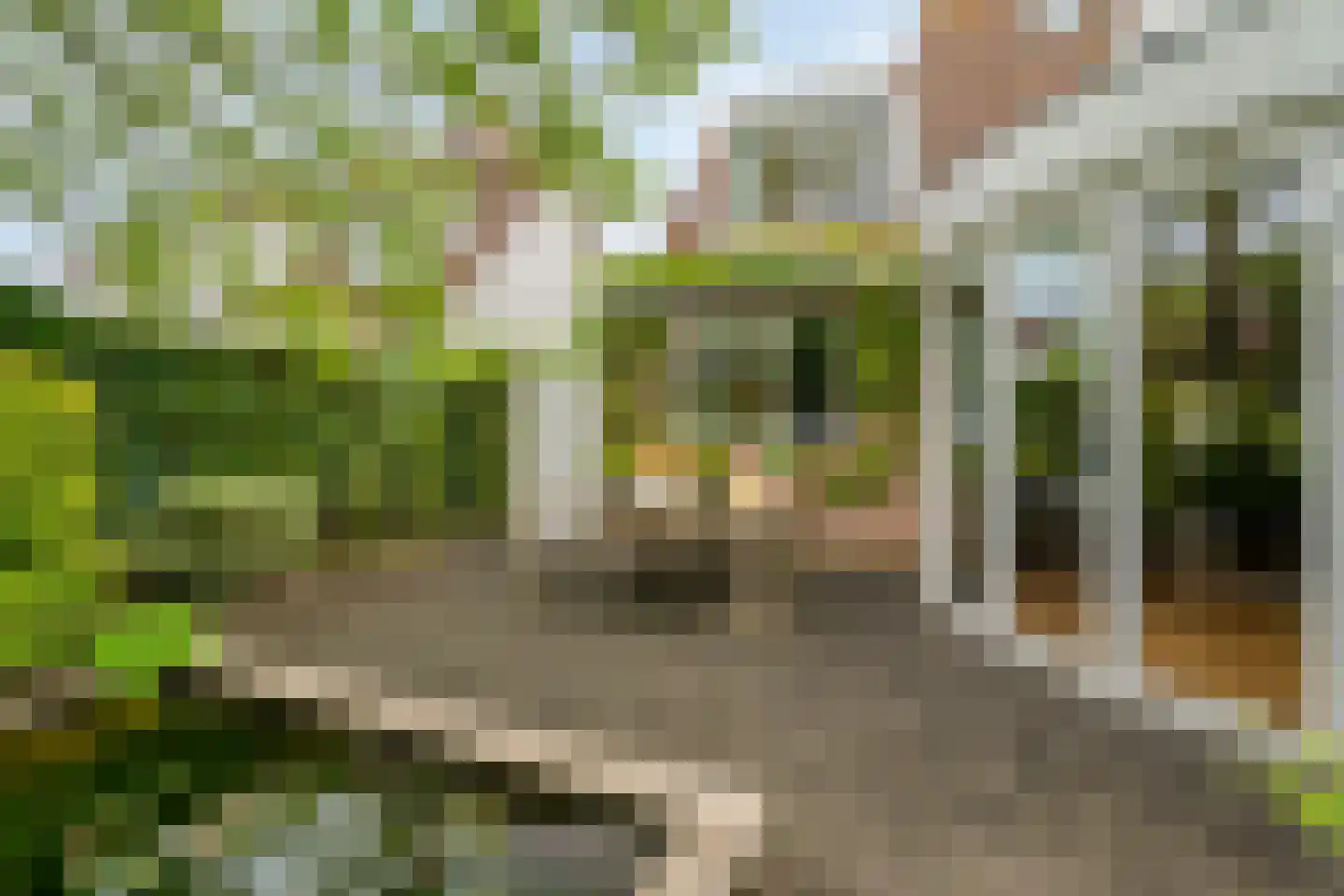 Groene Hil 34 Breda thumbnail 31
