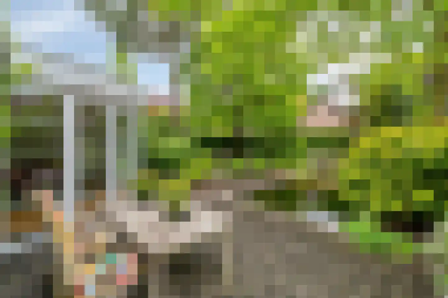 Groene Hil 34 Breda thumbnail 33
