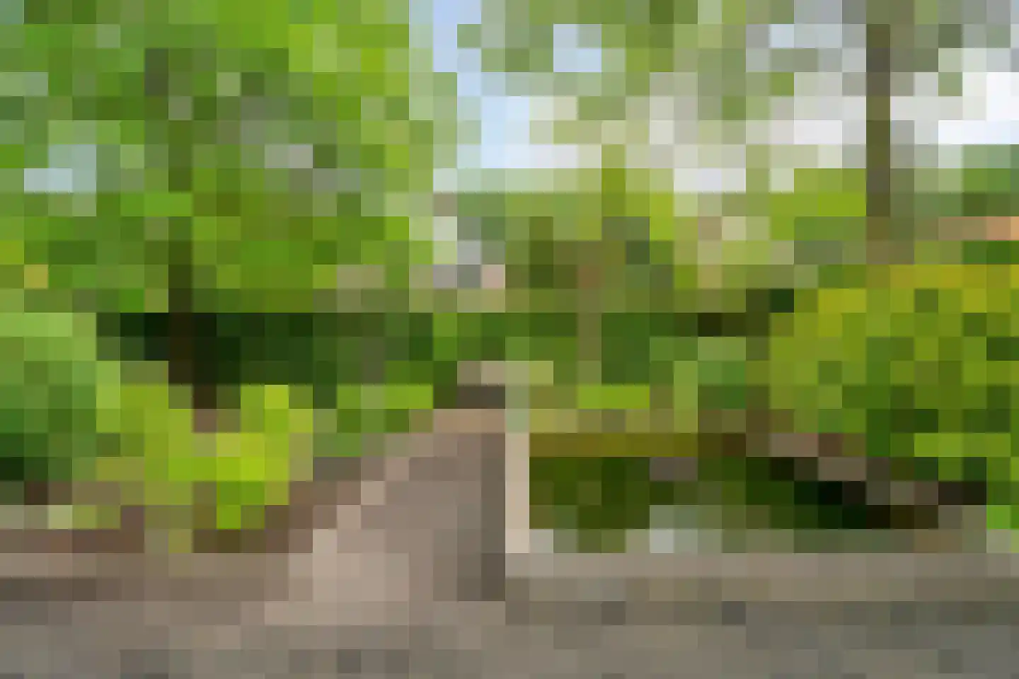 Groene Hil 34 Breda thumbnail 34