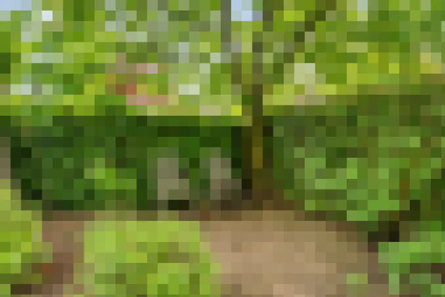 Groene Hil 34 Breda thumbnail 36