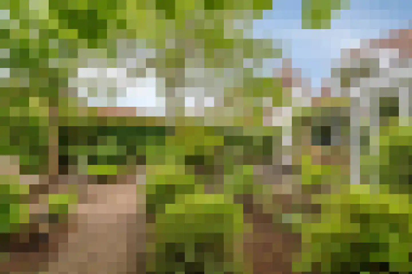 Groene Hil 34 Breda thumbnail 37