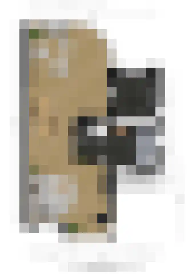 Groene Hil 34 Breda thumbnail 39