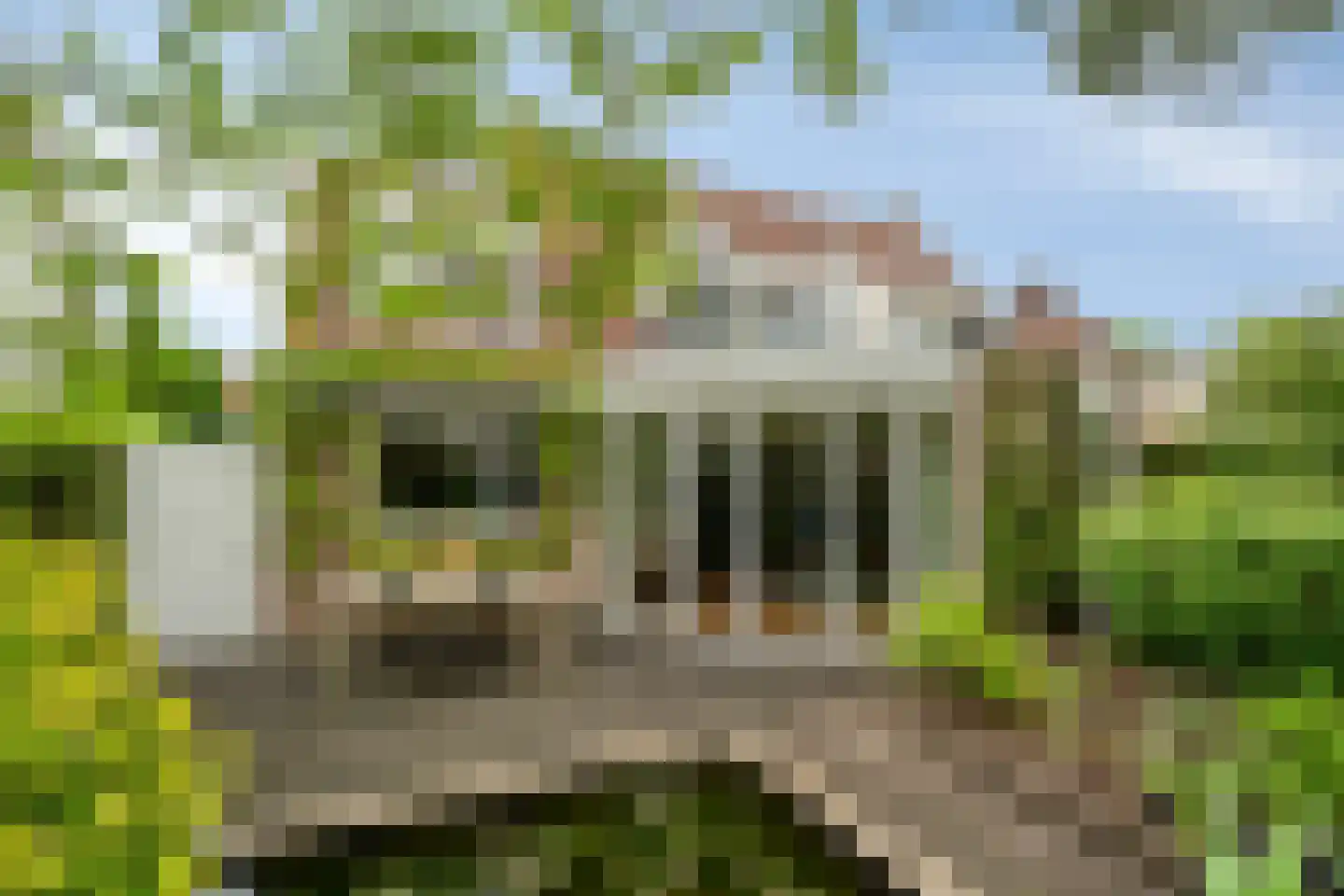 Groene Hil 34 Breda thumbnail 4