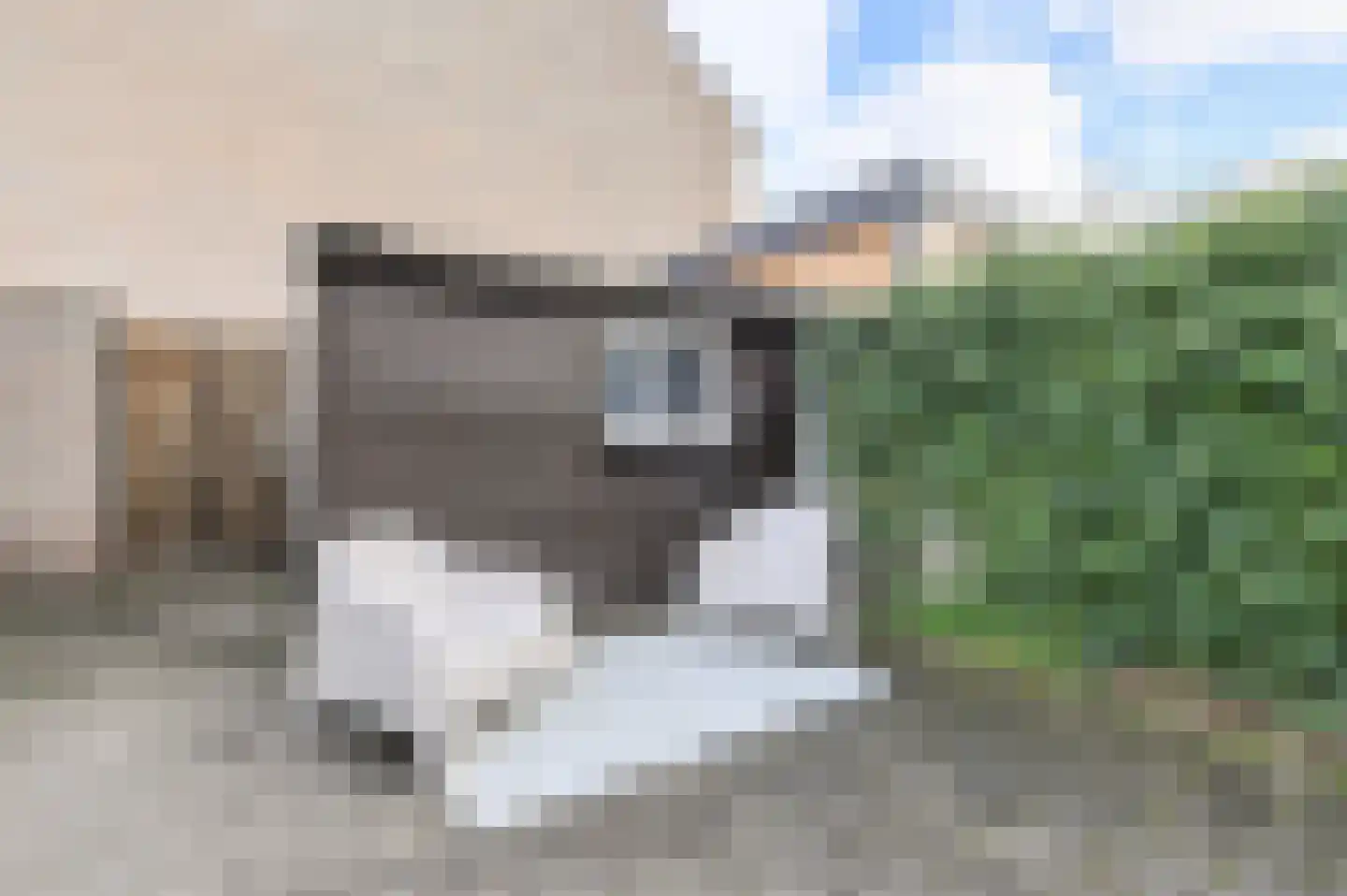 Groene Hil 5 Breda thumbnail 41