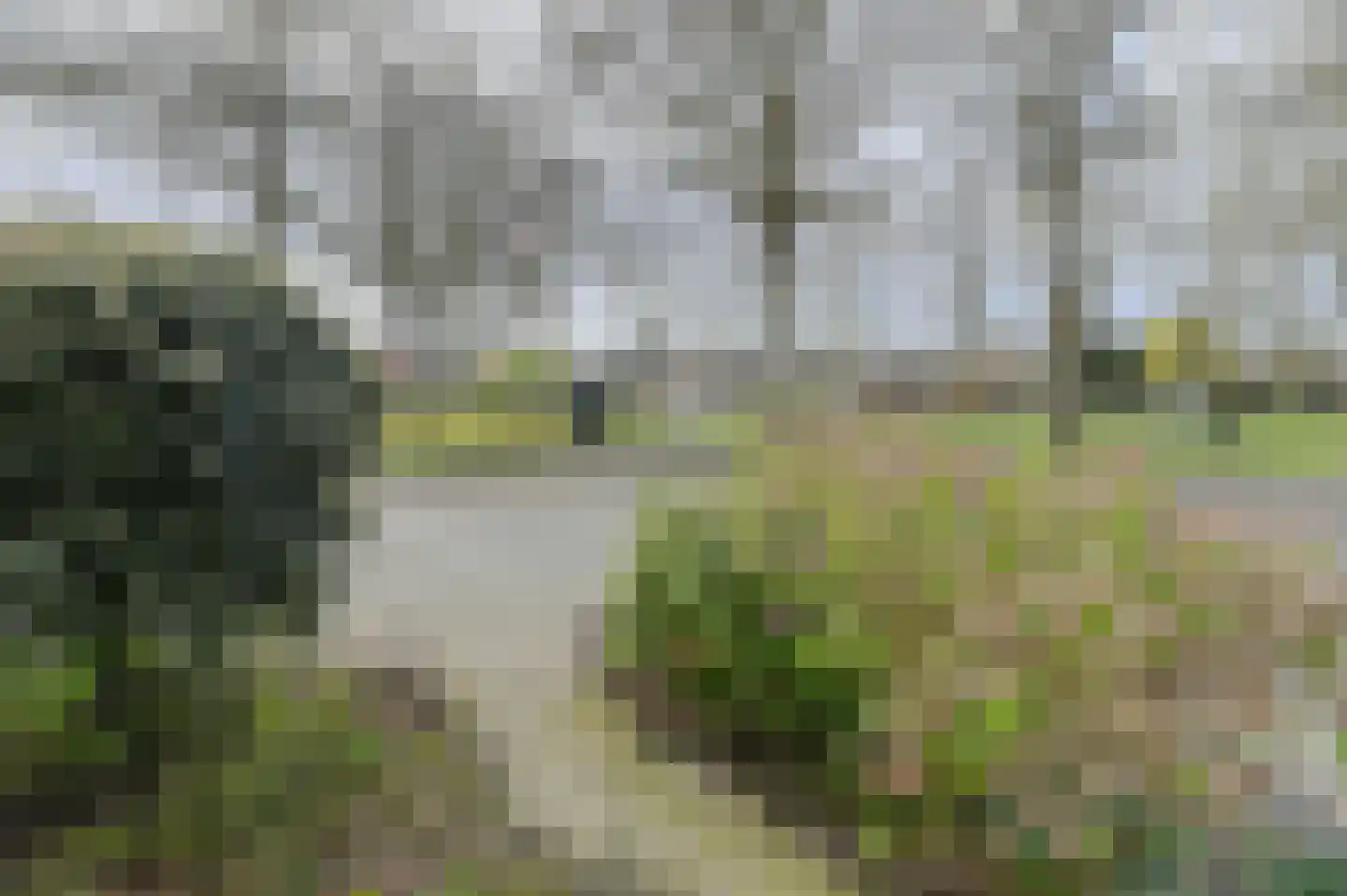 Groene Hil 5 Breda thumbnail 5