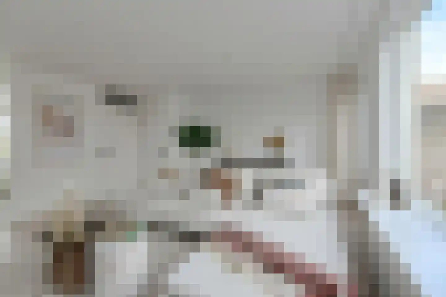 Groene Hil 5 Breda thumbnail 8