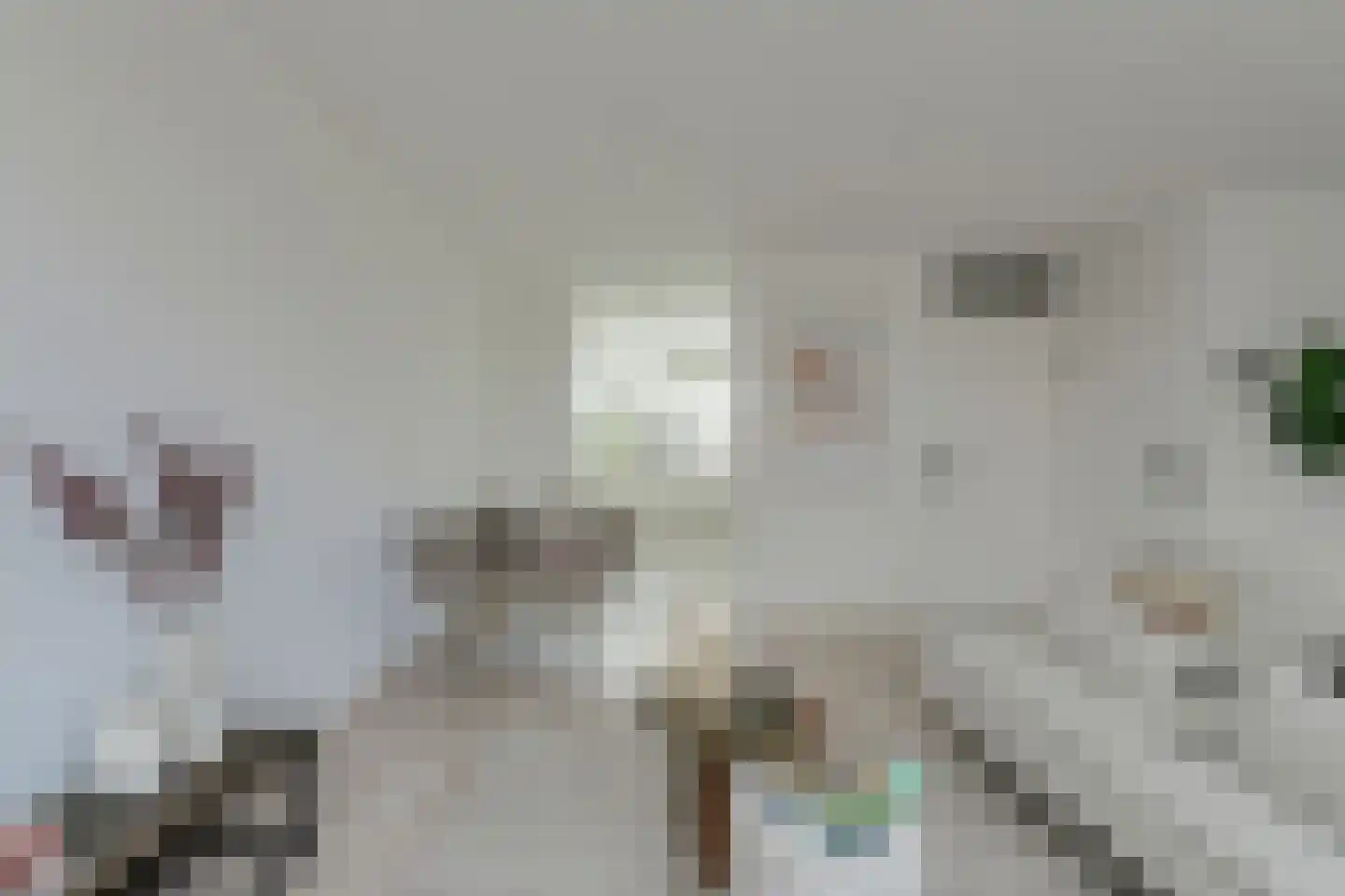 Groene Hil 5 Breda thumbnail 9