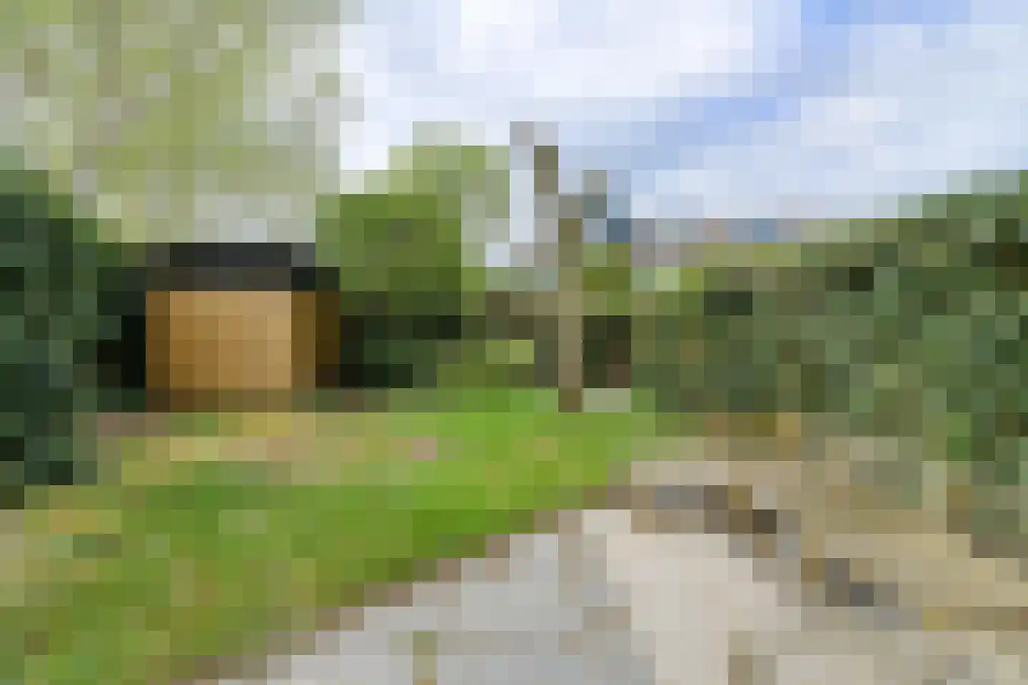 Groene Hil 55 Breda thumbnail 33