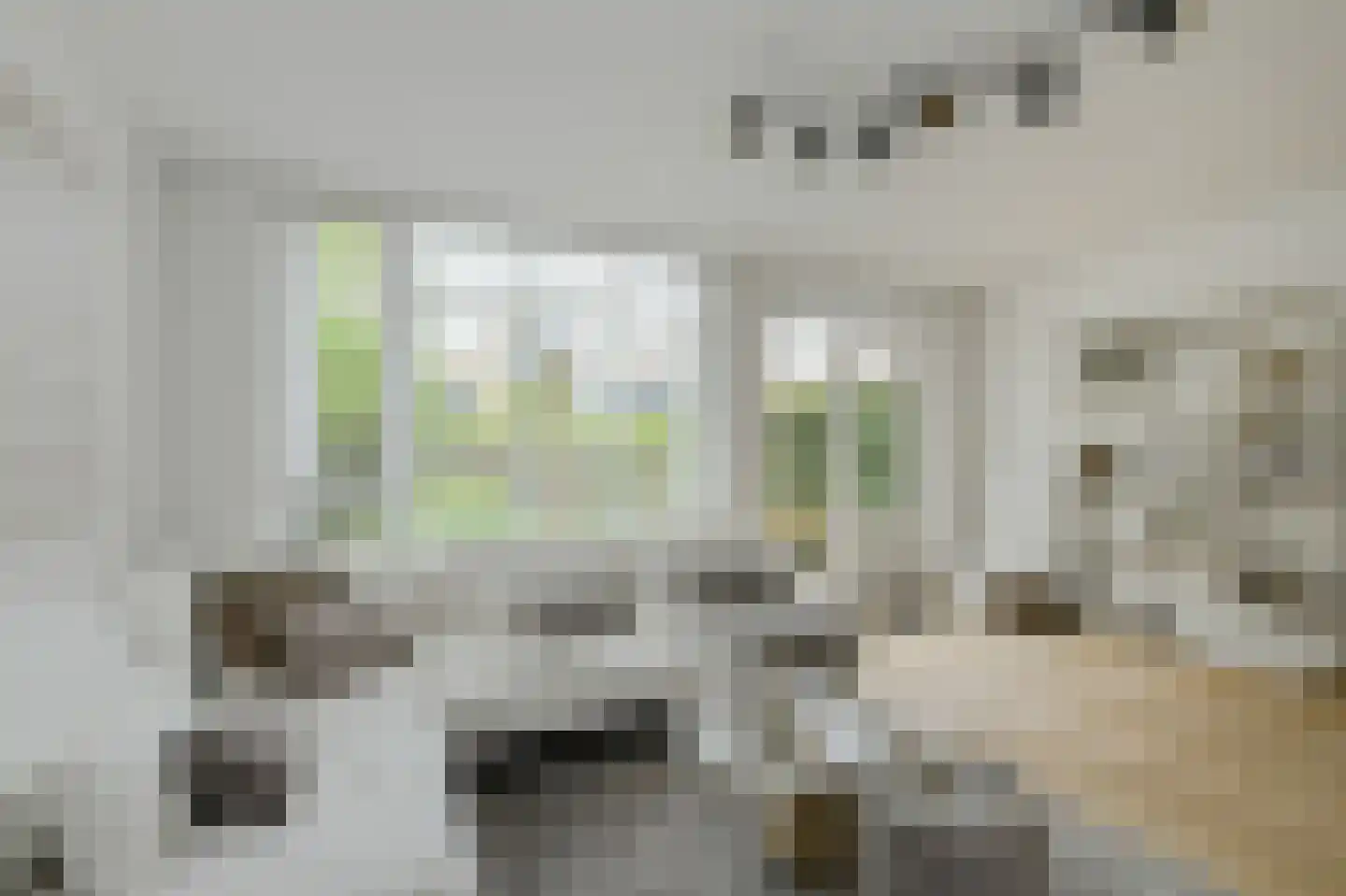 Groene Hil 55 Breda thumbnail 4
