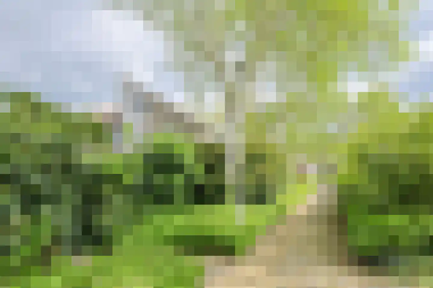 Groene Hil 55 Breda thumbnail 41