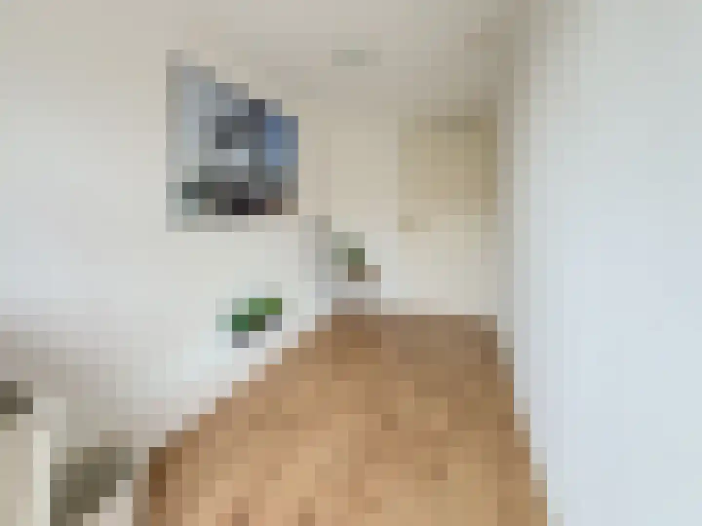 Groene Hilledijk 360 A Rotterdam thumbnail 29