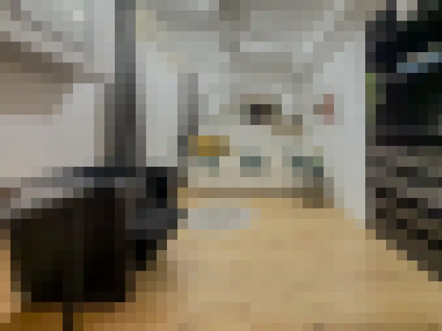 Groene Hilledijk 360 A Rotterdam thumbnail 36