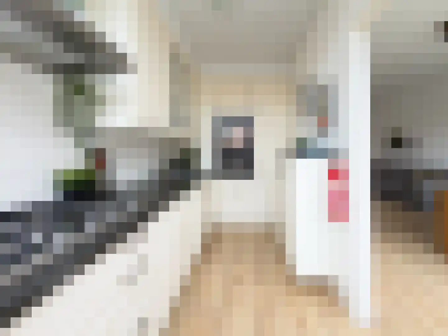 Groene Hilledijk 360 A Rotterdam thumbnail 8
